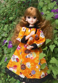 ハコニワトリの時の服のショコラちゃん