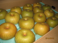 頂き物☆