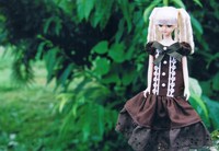 大きな栗の木の下で