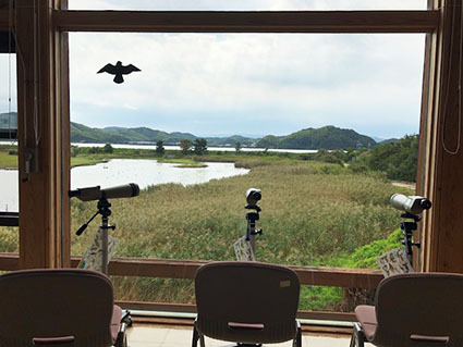 鳥取島根に来ています。