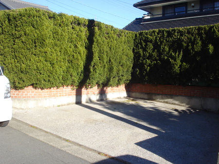外構リフォームの完成