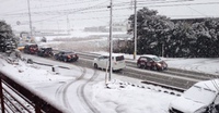 珍しい雪