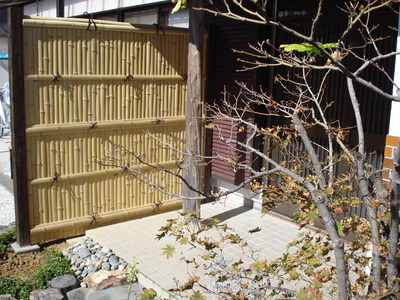 Bamboo
