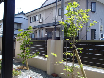 完成の