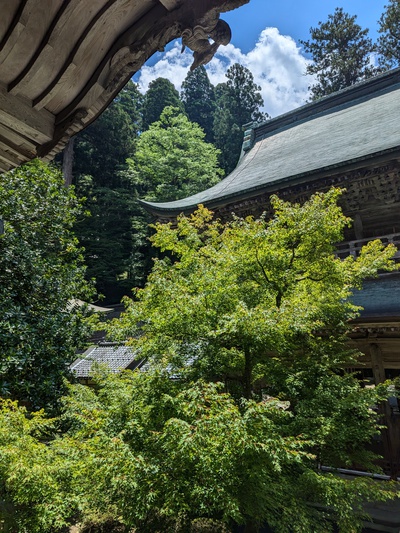 永平寺[金田]