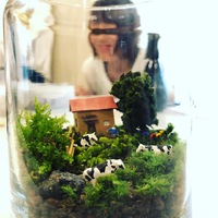 モーニング付き！苔テラリウムWS