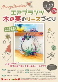 エアプランツと木の実のリース