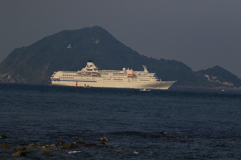 渥美半島の野鳥