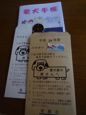 ごもちゃんの近況(*^▽^*)