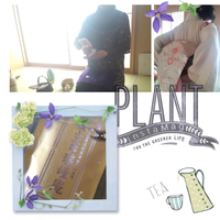着付けとお茶と…