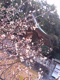 42号線沿い界隈をゆく (柱の多い神社 田原編) (05/08 05:08UP)