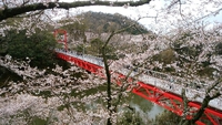 桜淵公園