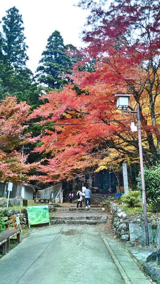 新城市観光協会ブログ 19年11月24日