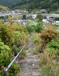 海老の東泉寺里山は今・・・