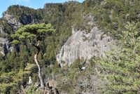 年末年始の鳳来寺関係行事