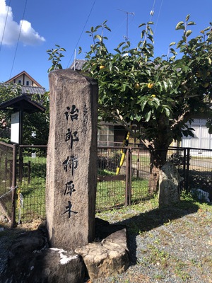 天竜浜名湖鉄道・各駅停車エンジョイマラニック　第2回　ステージ１【2021年10月9日】