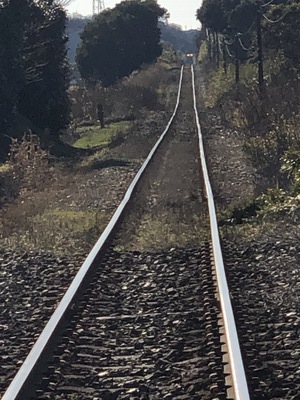 天竜浜名湖鉄道・各駅停車エンジョイマラニック　ステージ４【2021年1月31日】