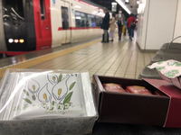 柳月と六花亭・帯広シリーズ（笑）【名鉄百貨店】