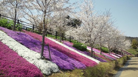 もっともっと身近な所に目を向けましょう！