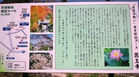 新城　医王寺