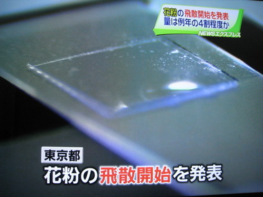2010のスギ花粉