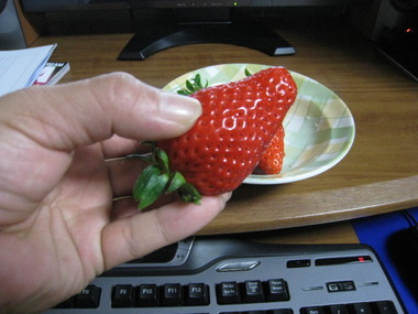 いちご美味しい～！