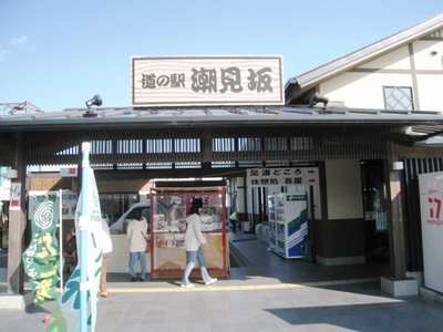 恐怖の津波見物