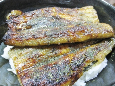 うなぎの鈴恭