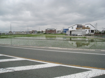 梅雨の季節