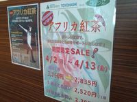 カテキン