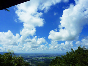 うりにいはリベンジ成功！わたしは。。。