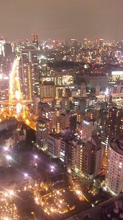 東京タワーからの夜景