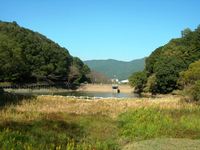 2回目の新城ラリー