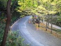 2回目の新城ラリー 2日目