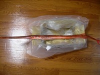 ヤガラを手に入れました!!!
