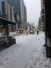 成人の日と大雪
