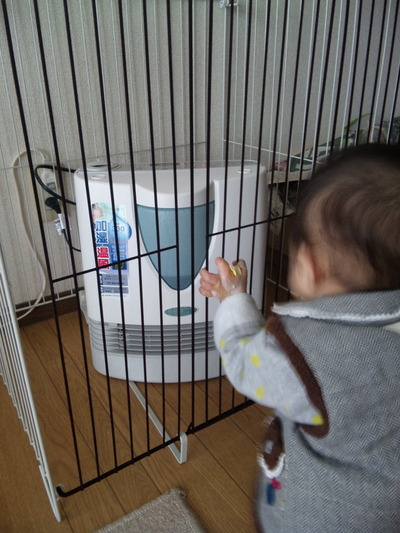件の加湿器