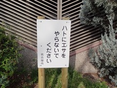 今日の名古屋栄