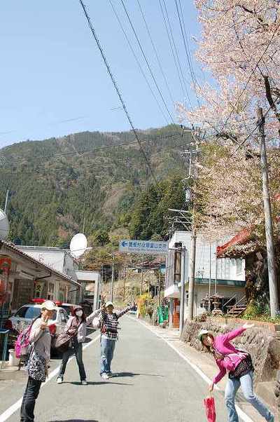 桜咲く旧富山村の里を歩く【飯田線の旅】