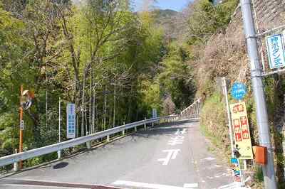 桜咲く旧富山村の里を歩く【飯田線の旅】