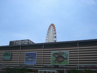 暑い日の食事
