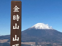 富士山はでかい！！　　金時山登り