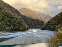 絶景の紅葉を探しに静岡の畑薙大吊橋へ