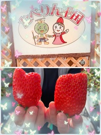 いちご狩り★