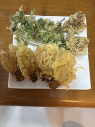 タラの芽天ぷら