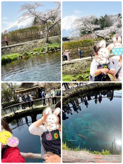 新屋山神社のあとは