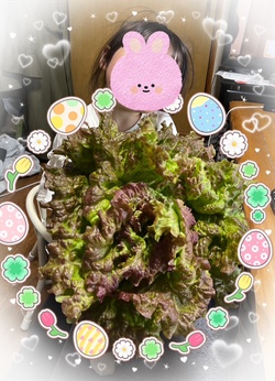デカッ！