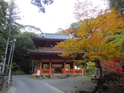 ちょっと寄り道！