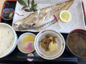 IBEの集い参加の前に魚直で
