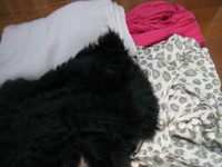 服飾品を減らし続けている◆どんなファッション希望？